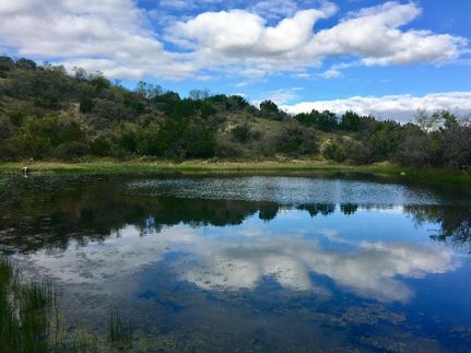 Timberland Property in McCulloch County, Texas