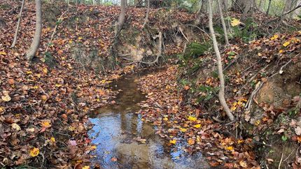 Recreational Property for sale in Elbert County, Georgia