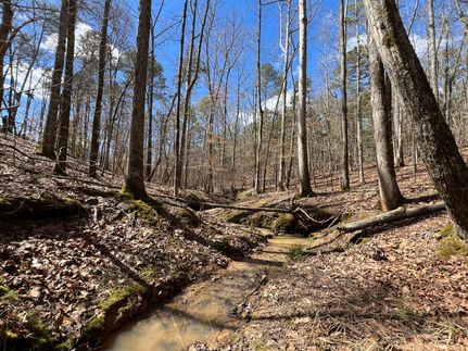 Timberland Property for sale in Elbert County, Georgia