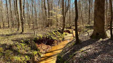 Land for sale in Elbert County, Georgia