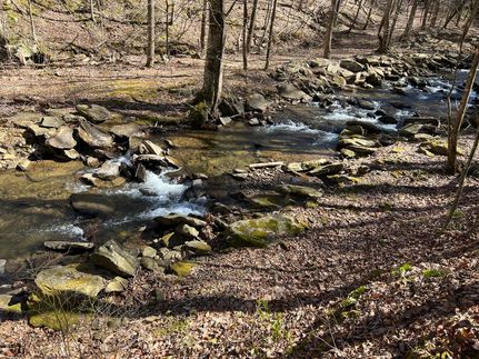 Land for sale in Gilmer County, Georgia