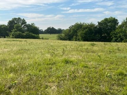 Undeveloped Land for sale in Lamar County, Texas