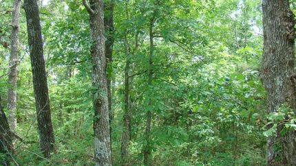 Undeveloped Land for sale in Howell County, Missouri