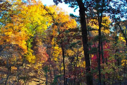 Land for sale in Hughes County, Oklahoma