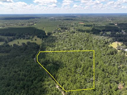 Land for sale in Tyler County, Texas