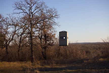 Farm and Ranch in Jack County, Texas