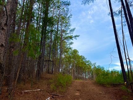 Hunting Property for sale in Tuscaloosa County, Alabama