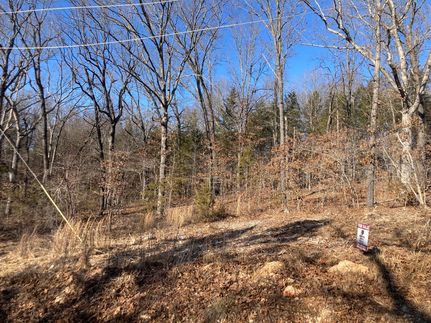 Undeveloped Land for sale in Barry County, Missouri