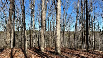 Land for sale in Banks County, Georgia