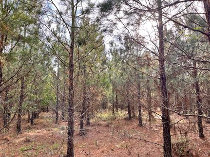 Land for sale in Laurens County, Georgia