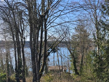 Land for sale in Thurston County, Washington