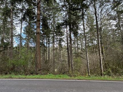 Undeveloped Land for sale in Thurston County, Washington