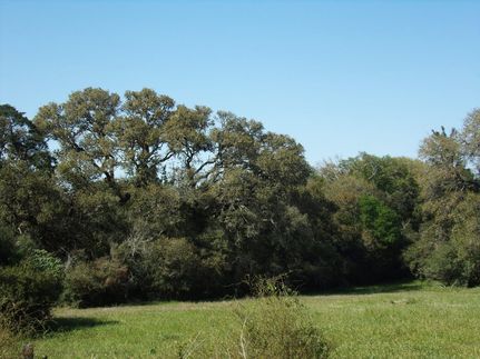 Farm and Ranch in Colorado County, Texas