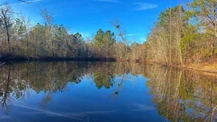 Land for sale in Wilkinson County, Georgia