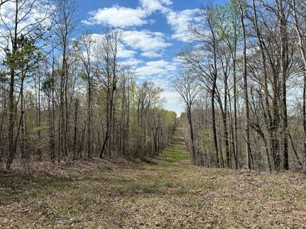 Timberland Property for sale in Twiggs County, Georgia