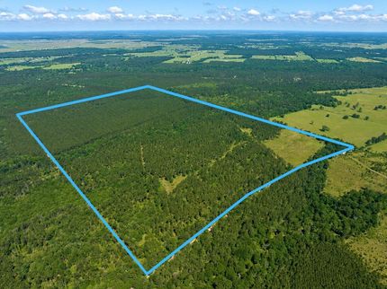Land for sale in Trinity County, Texas