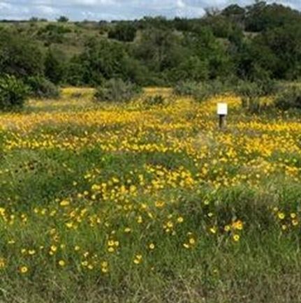 Horse Property for sale in Blanco County, Texas