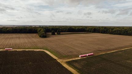 Land for sale in Coahoma County, Mississippi