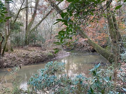 Land for sale in Amite County, Mississippi