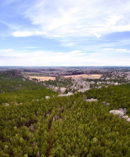 Land for sale in Simpson County, Mississippi