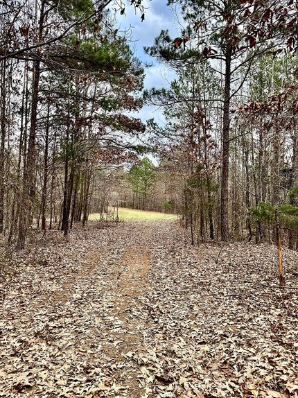 Land for sale in Benton County, Mississippi