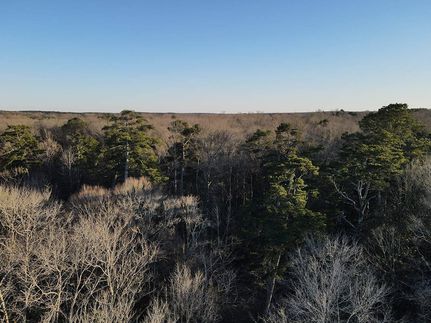 Timberland Property in Jefferson Davis County, Mississippi