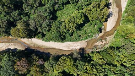 Farm and Ranch for sale in Holmes County, Mississippi