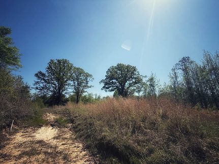 Land for sale in Holmes County, Mississippi