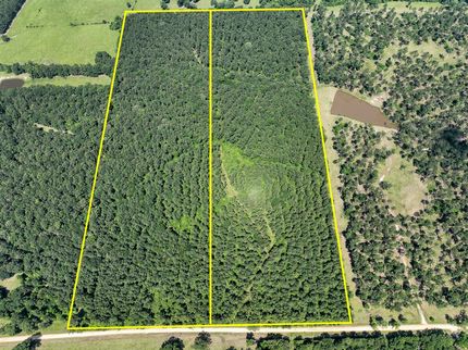 Undeveloped Land for sale in Trinity County, Texas