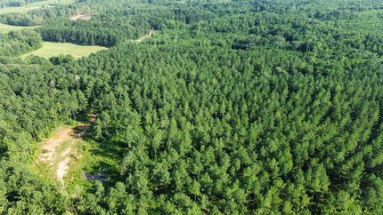 Commercial Property for sale in Chambers County, Alabama