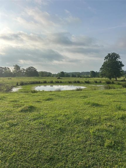 Land for sale in Red River County, Texas