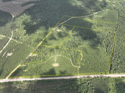 Land for sale in Polk County, Texas