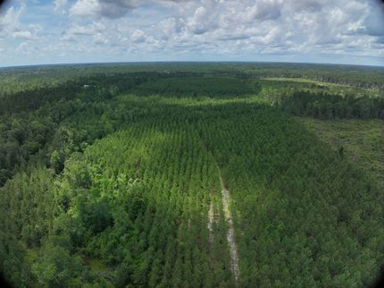 Land for sale in Emanuel County, Georgia