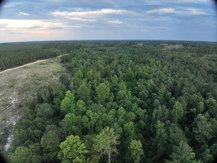 Recreational Property for sale in Emanuel County, Georgia
