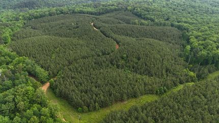 Land for sale in Tishomingo County, Mississippi