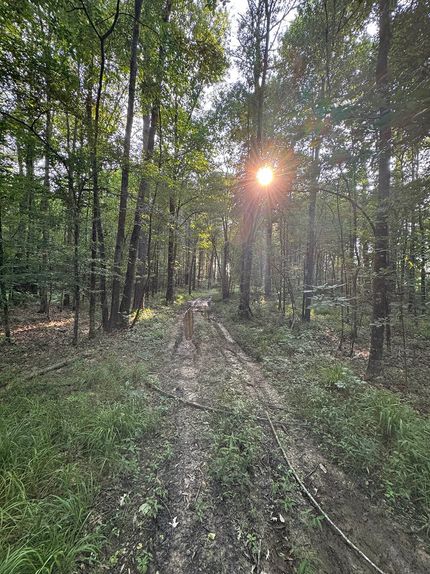 Land for sale in Jasper County, Mississippi