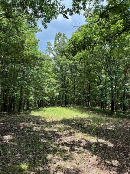 Land for sale in Carroll County, Mississippi