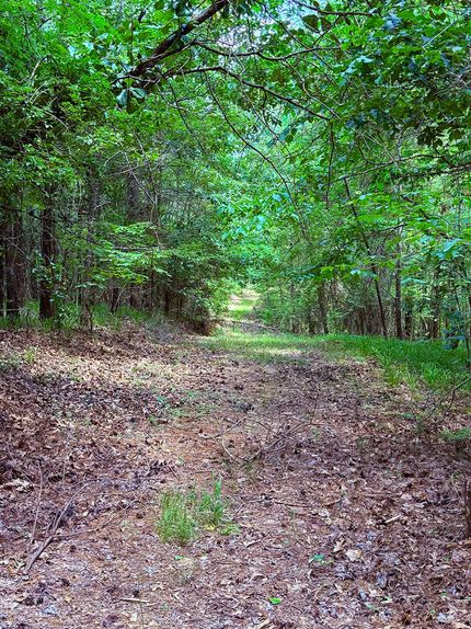 Land for sale in Carroll County, Mississippi