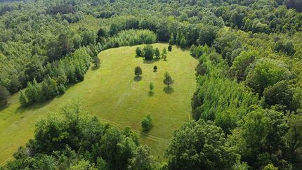 Land for sale in Jefferson Davis County, Mississippi