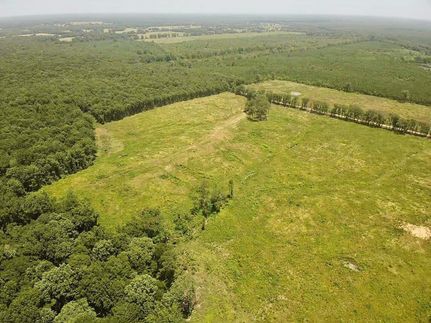 Timberland Property for sale in Bowie County, Texas