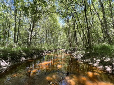 Timberland Property for sale in Washington County, Georgia