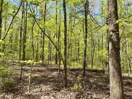 Farm and Ranch for sale in Elmore County, Alabama