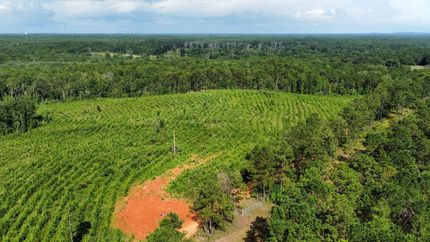 Farm and Ranch in Russell County, Alabama