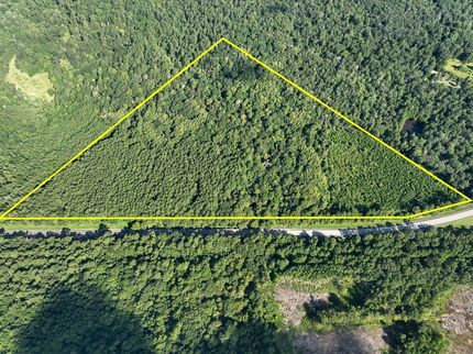 Undeveloped Land for sale in Tyler County, Texas