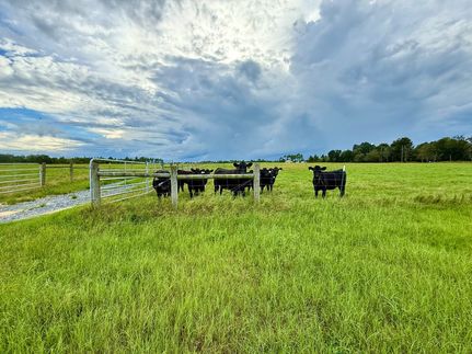 Farm and Ranch for sale in Taylor County, Georgia