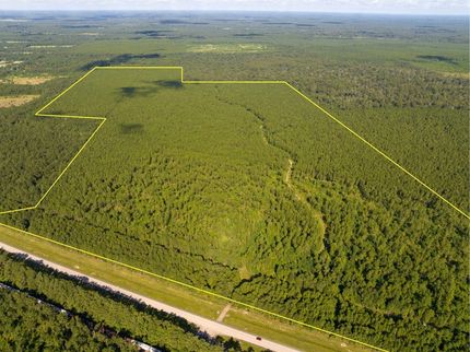 Hunting Property for sale in Allen Parish, Louisiana