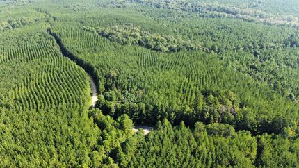 Farm and Ranch for sale in Bullock County, Alabama