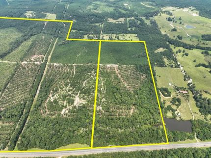 Undeveloped Land for sale in Tyler County, Texas