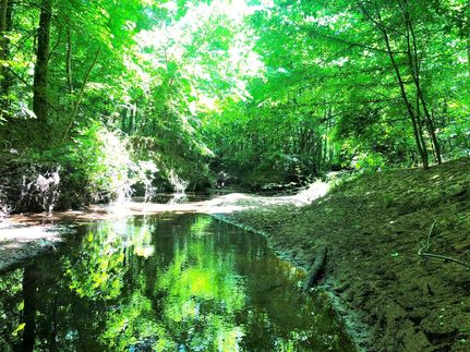 Land for sale in Putnam County, Georgia