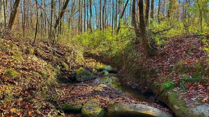 Farm and Ranch for sale in Oglethorpe County, Georgia